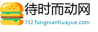 待时而动网